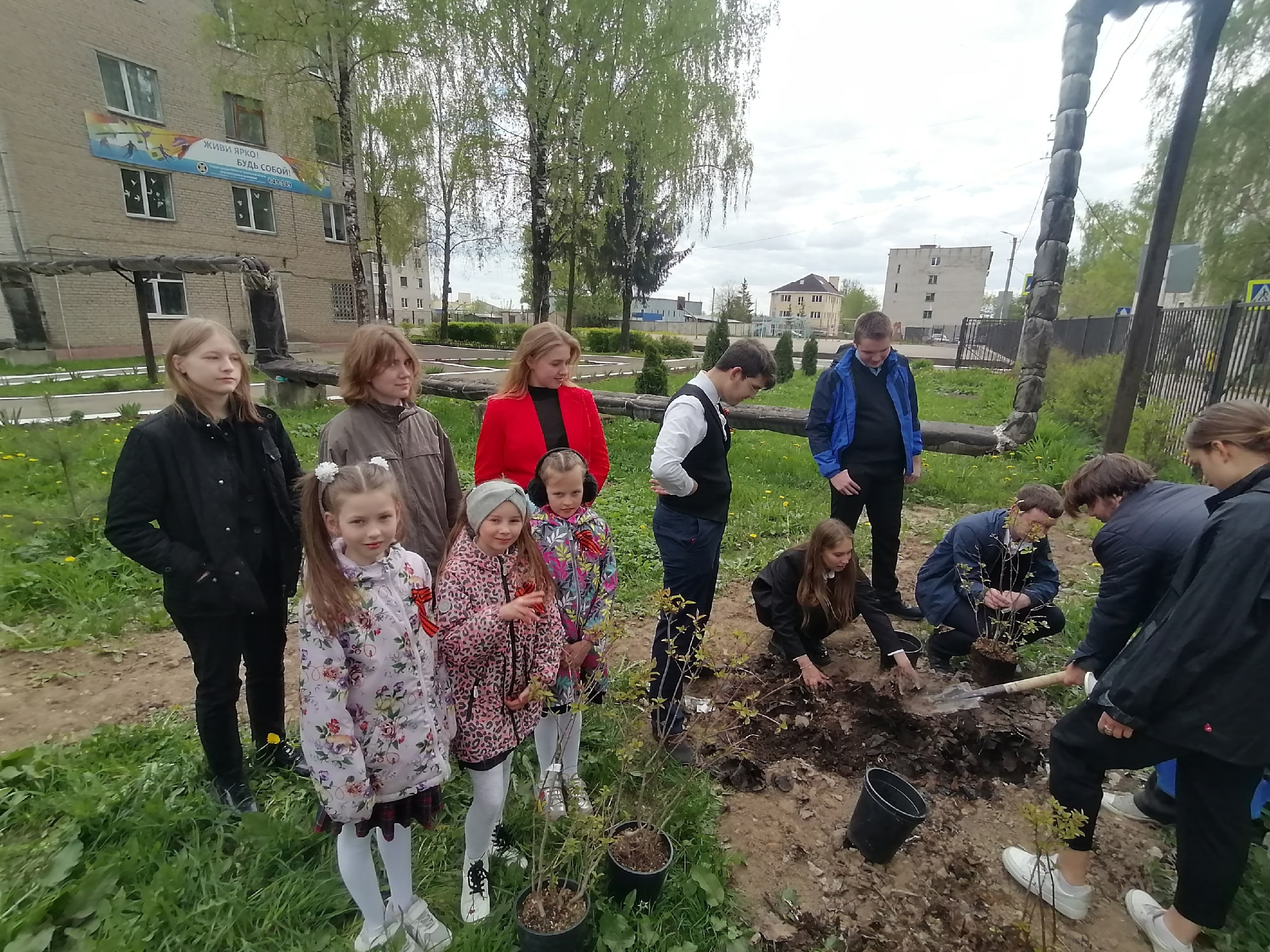 «Сирень Победы» в рамках Всероссийской акции &amp;quot;Сад Памяти&amp;quot;..