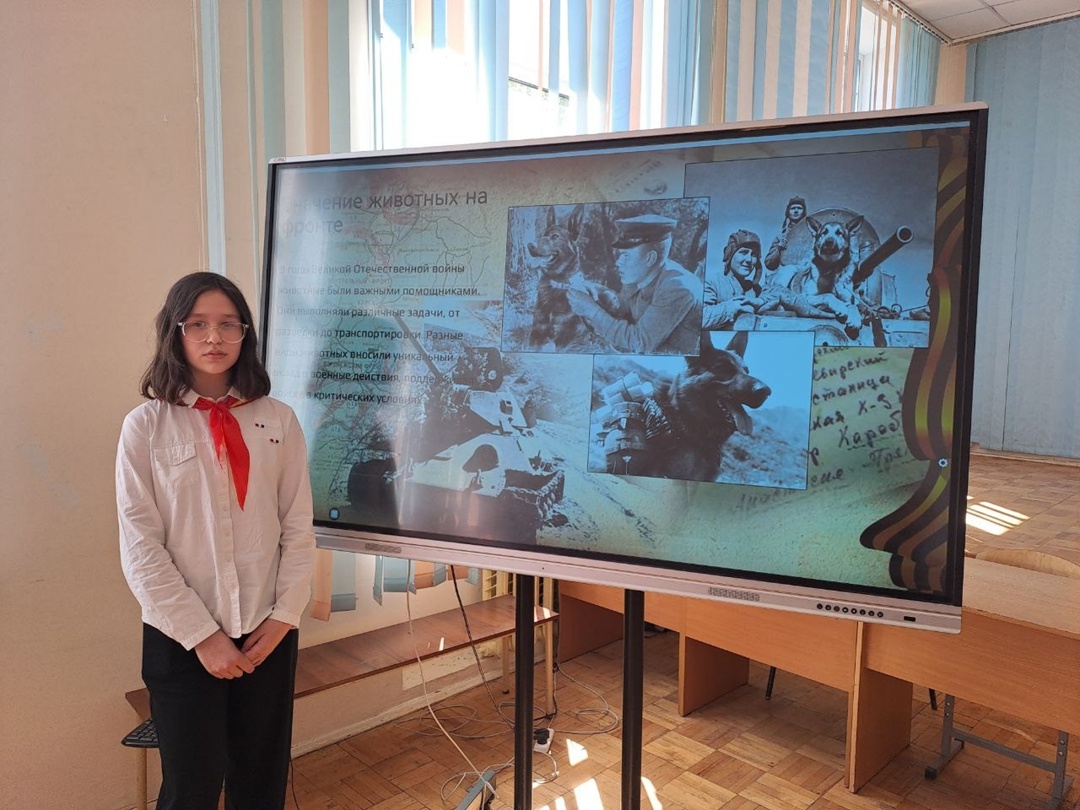 «Четвероногие герои Великой Отечественной войны».