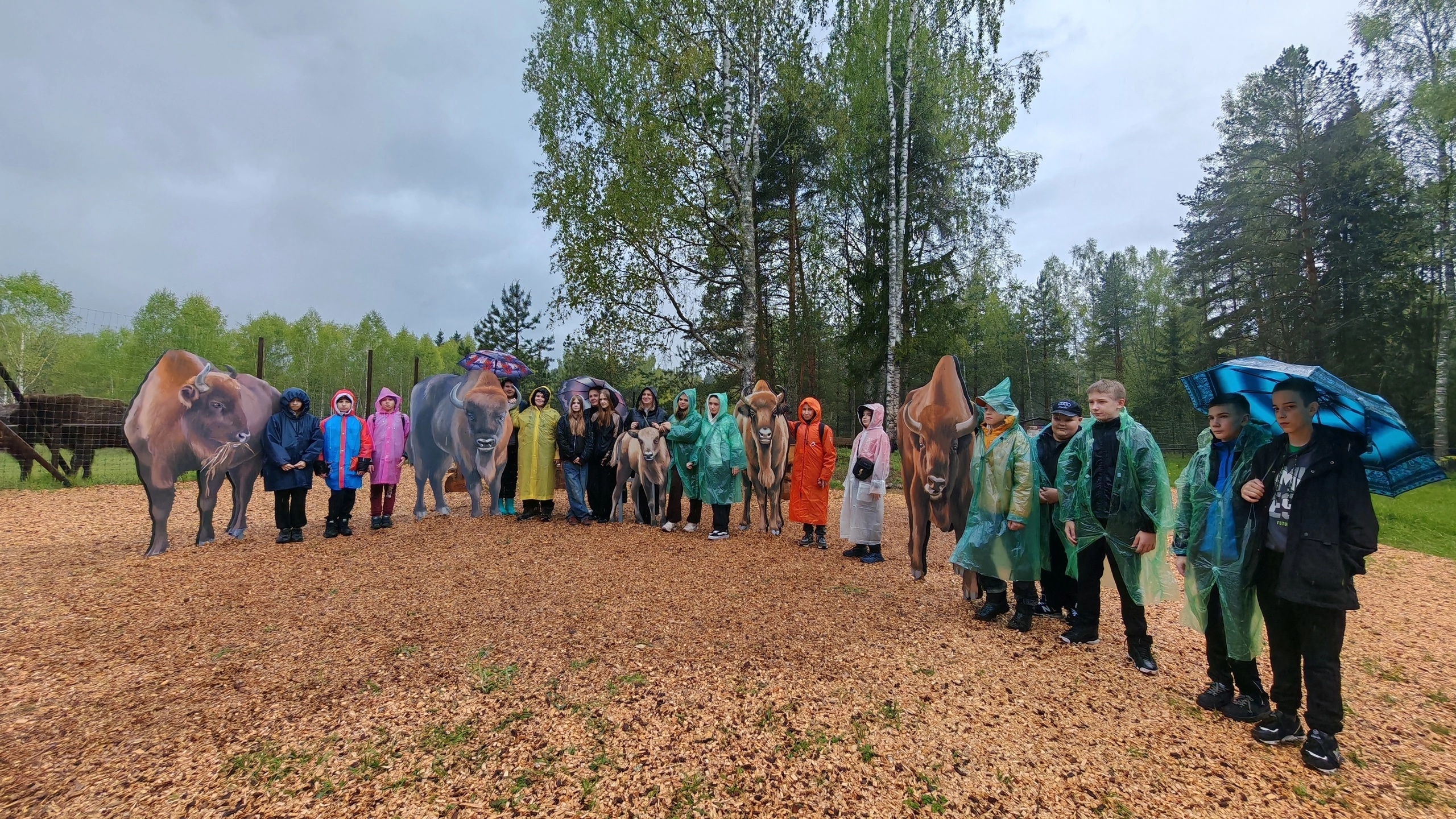Экскурсия в Смоленское Поозерье.